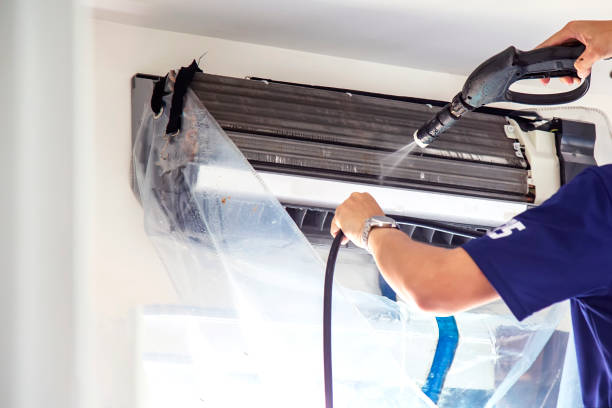 Best Air Duct Mold Removal  in Williston, ND